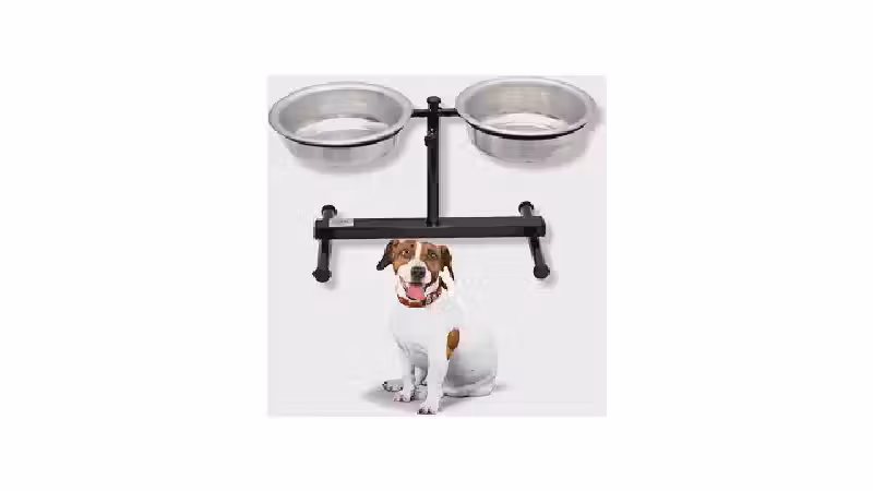 Qual o Melhor Comedouro para Cachorro? Alto ou Baixo?