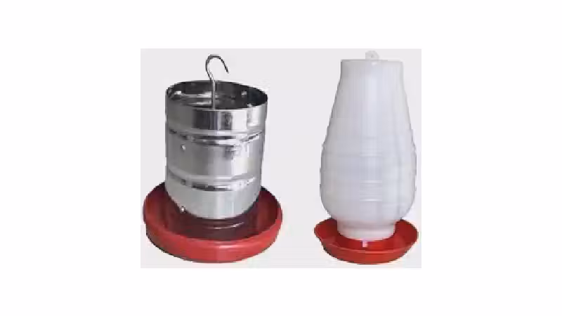Qual o Melhor Comedouro para Galinha? 9 Modelos