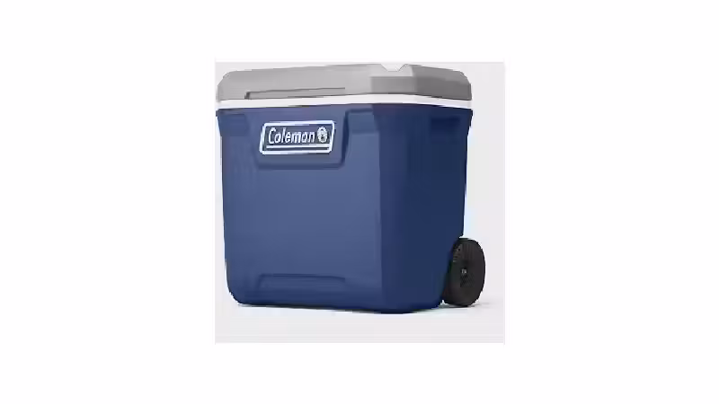 Qual o Melhor Cooler com Rodinha? Capacidade vs. Funções
