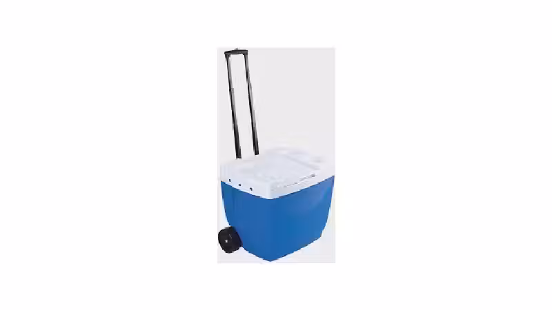 Qual o Melhor Cooler: Caixa Rígida ou Bolsa Térmica?
