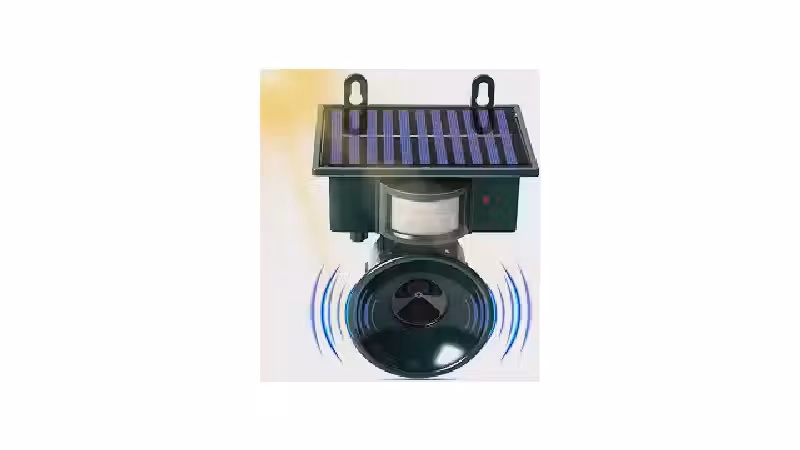 Qual o Melhor Espanta Pombos: Físico ou Eletrônico?