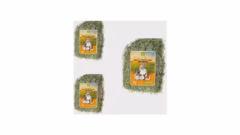 Qual o Melhor Feno de Alfafa: Nutrição e Frescor