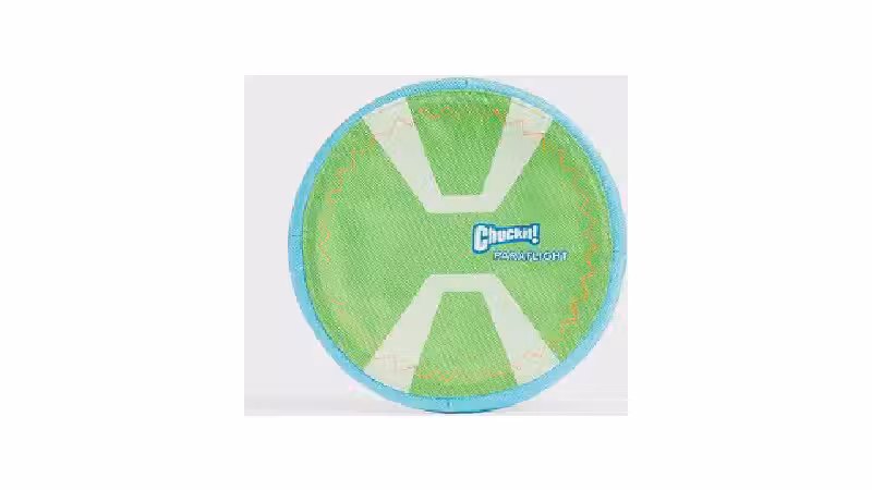 Qual o melhor frisbee para cachorro: Plástico ou borracha?