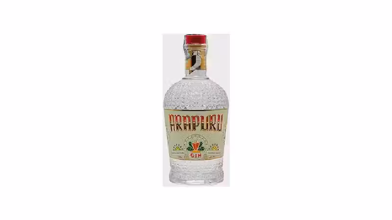 Qual o Melhor Gin Nacional? Análise de 10 Rótulos