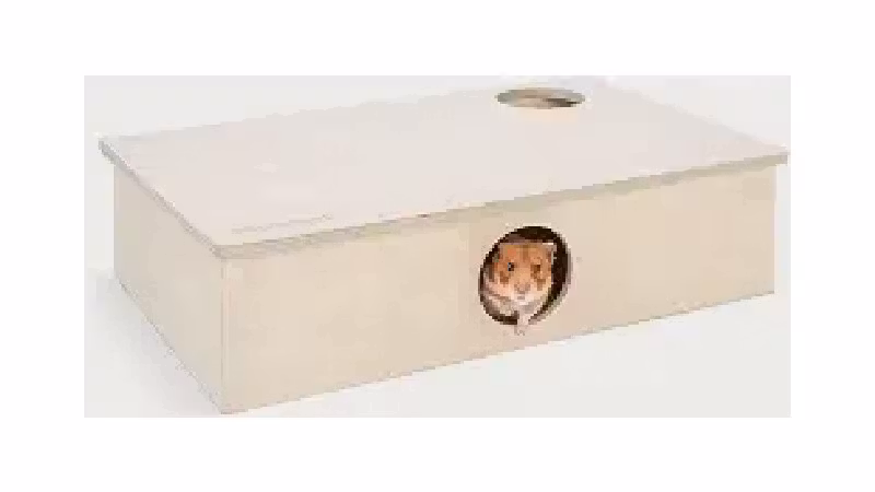 Qual o Melhor Labirinto para Hamster: Madeira ou Tubos?