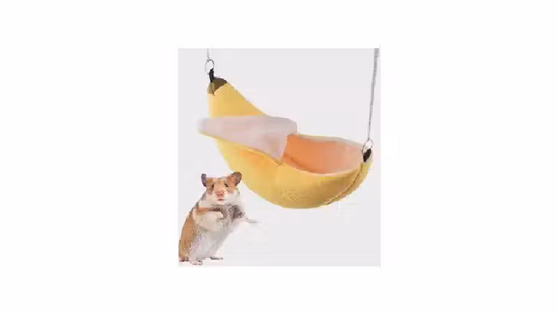Qual o Melhor Ninho de Algodão para Hamster? Guia