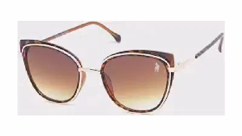 Qual o Melhor Oculos de Sol Feminino? Guia de Estilos