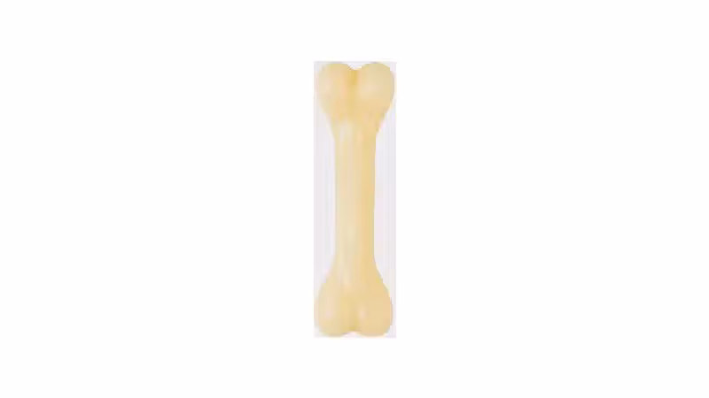 Qual o Melhor Osso de Nylon para Cachorro? Análise