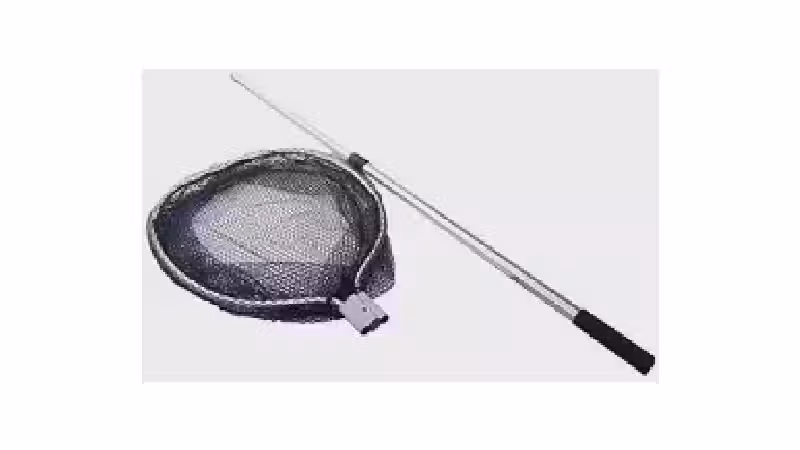 Qual o Melhor Passaguá para Pesca? Veja 10 Modelos