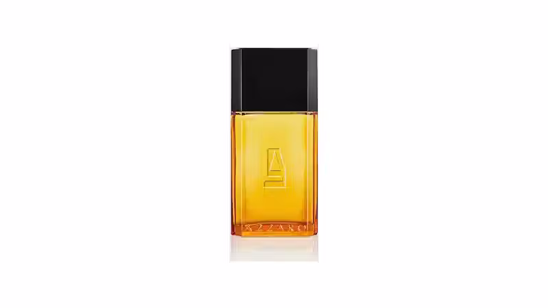 Qual o Melhor Perfume Amadeirado? Guia de Fixação