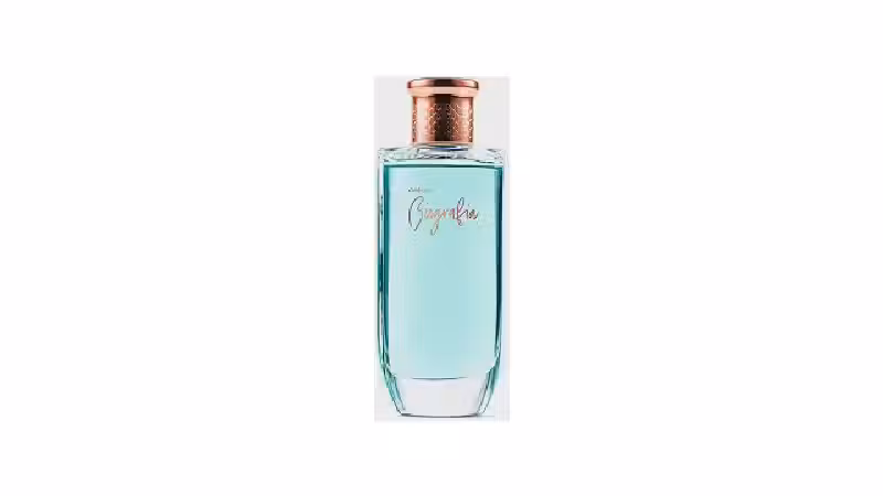 Qual o Melhor Biografia Feminino? Guia de Aromas