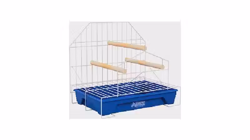 Qual o melhor playground para calopsita? 8 modelos