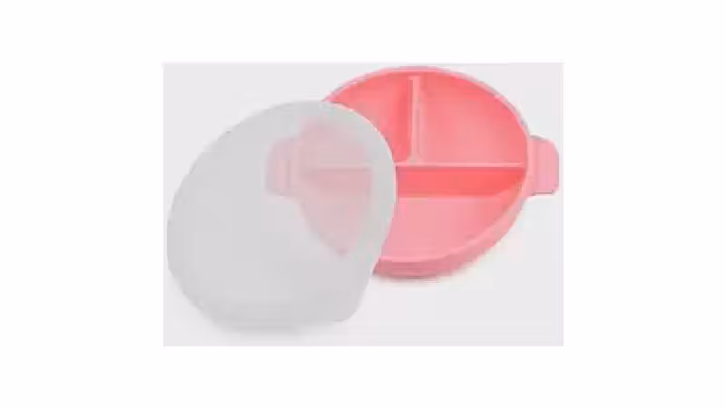Qual o Melhor Prato de Silicone com Divisórias e Tampa?
