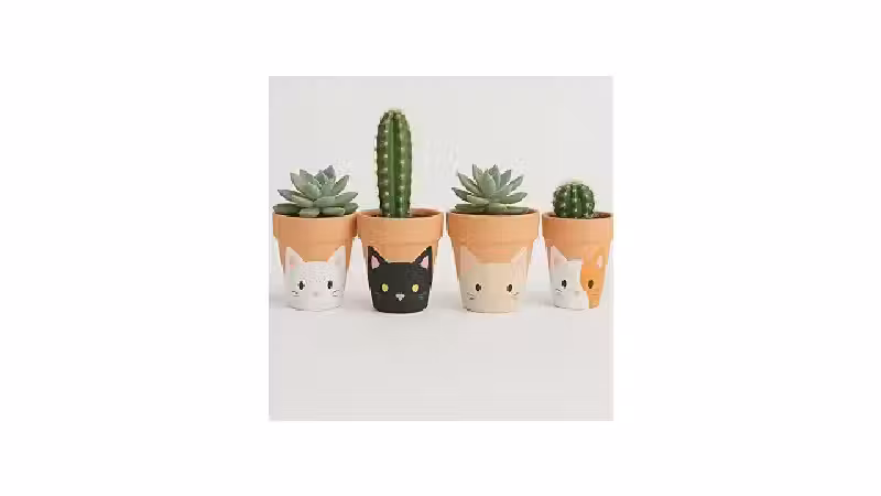 Qual o Melhor Presente Para Quem Ama Plantas: 10 Opções Criativas
