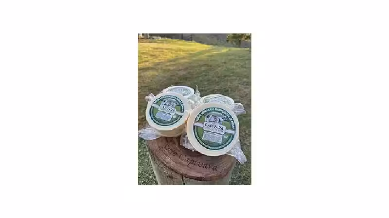 Qual o melhor queijo de minas: Padrão ou Artesanal?