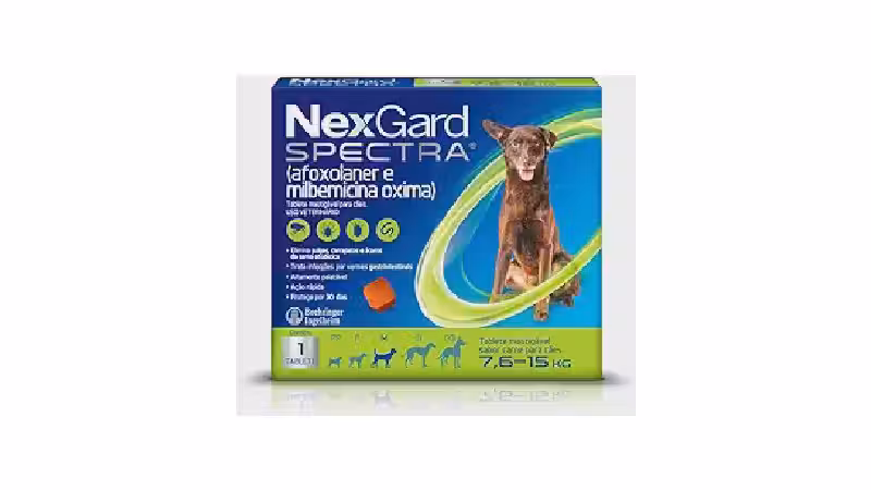 Qual o Melhor Remédio para Sarna de Cachorro? Oral vs Tópico