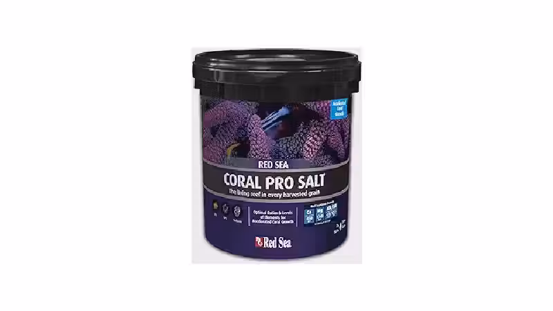 Qual o Melhor Sal Para Aquário Marinho: 10 Analisados