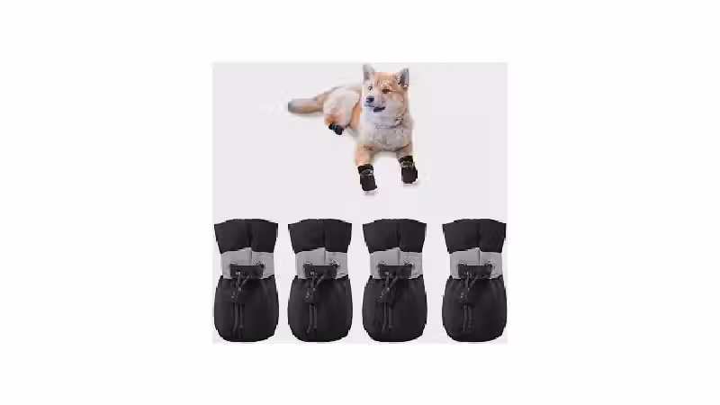 Qual o Melhor Sapatinho para Cachorro para Proteger as Patas [Guia]