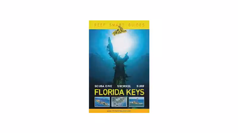 Qual o Melhor Snorkel para Mergulho Livre: O Guia