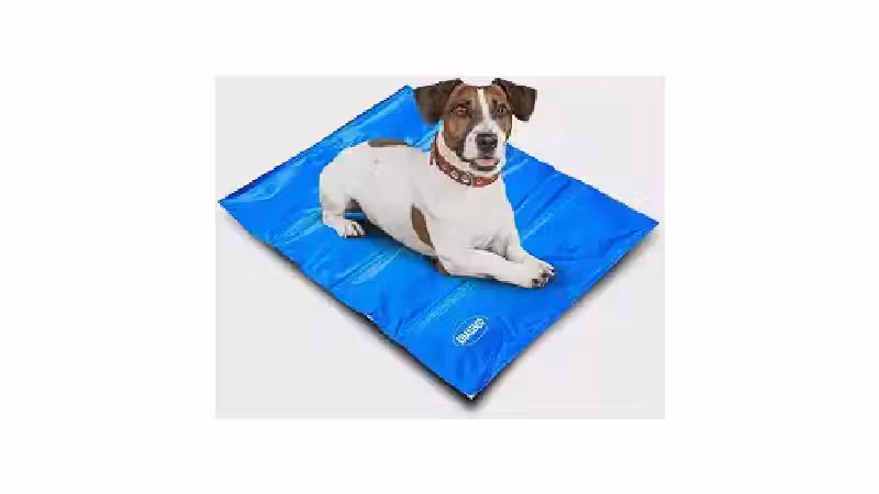 Qual o Melhor Tapete Gelado Para Cachorro? Análise de 10