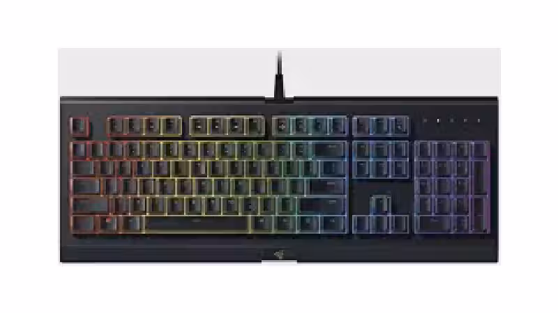 Qual o melhor teclado Razer? Do Cynosa ao Huntsman