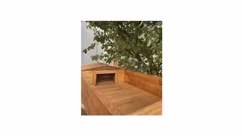 Qual o Melhor Terrário para Jabuti? Análise de 8