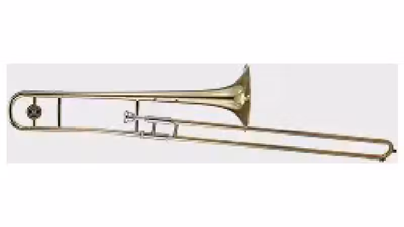 Qual o melhor trombone para iniciantes? Análise de 3