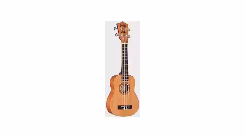 Qual o Melhor Ukulele Bom e Barato Custo-Benefício