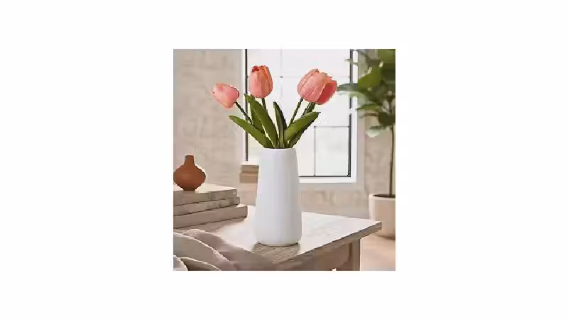 Qual o melhor vaso de cerâmica para decoração? Guia