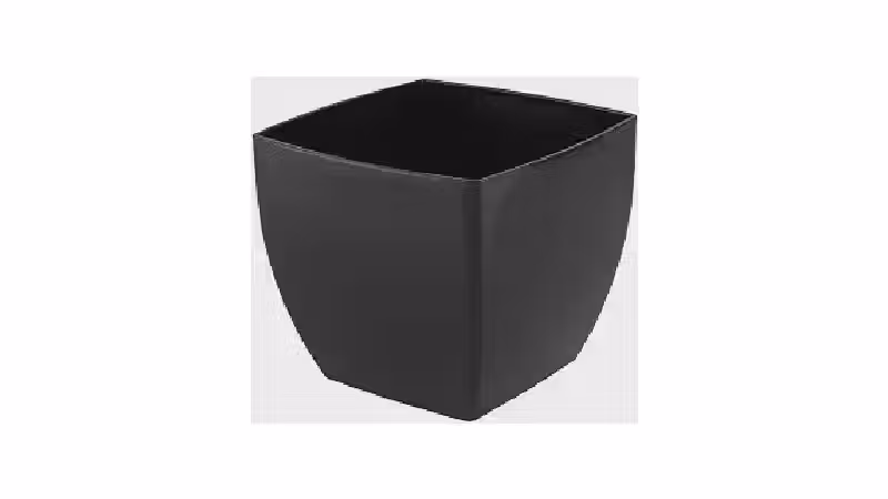Qual o melhor vaso para rosa do deserto? [Análise]