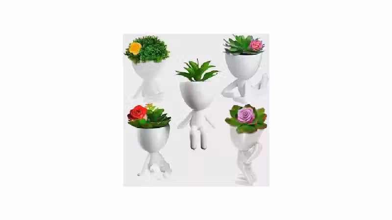 Qual o Melhor Vaso para Suculentas? Guia de Drenagem e Estilo