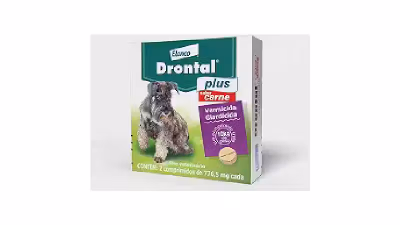 Qual o Melhor Vermífugo para Cão? Análise de 10