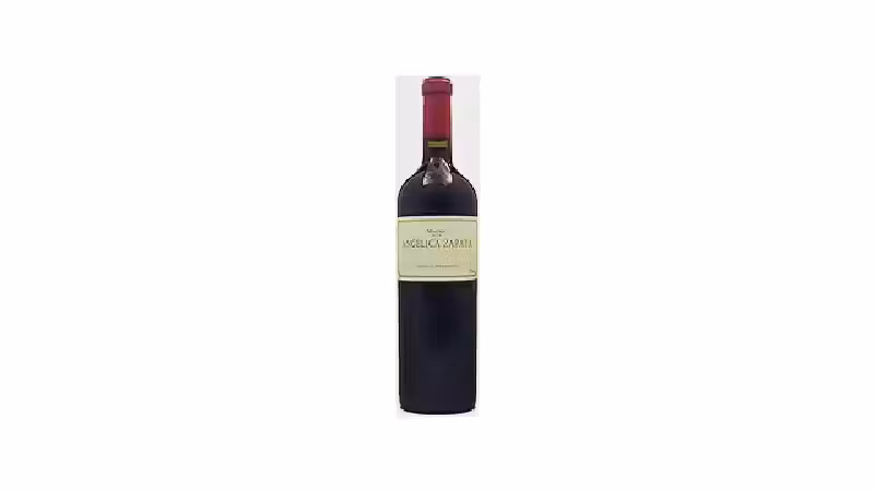 Qual o melhor vinho argentino: Guia de Uvas e Rótulos