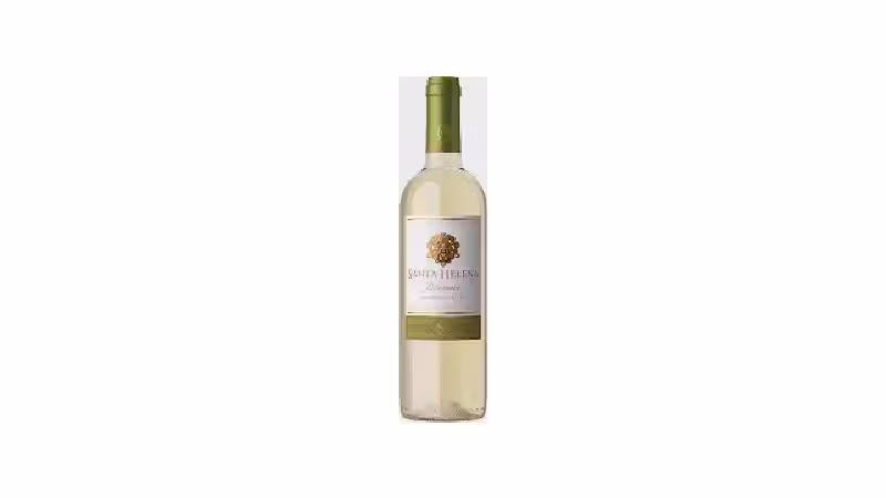Qual o Melhor Vinho Branco? Guia de Uvas e Países