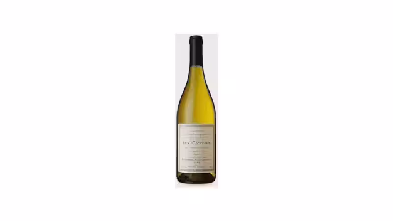 Qual o Melhor Vinho Chardonnay: 10 Rótulos Testados