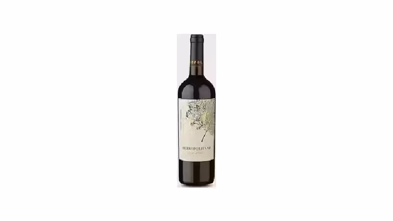 Qual o Melhor Vinho Chileno? O Guia de Uvas