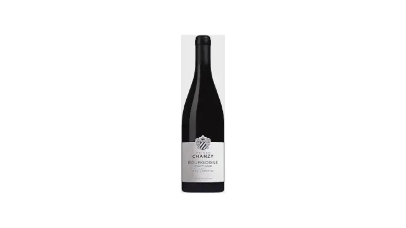 Qual o Melhor Vinho Pinot Noir da Borgonha? Guia