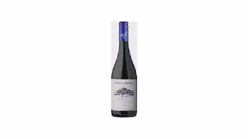 Qual o Melhor Vinho Pinot Noir p/ Cada Paladar?