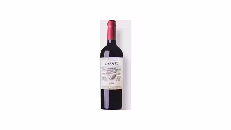 Qual o Melhor Vinho Tannat do Uruguai ao Brasil