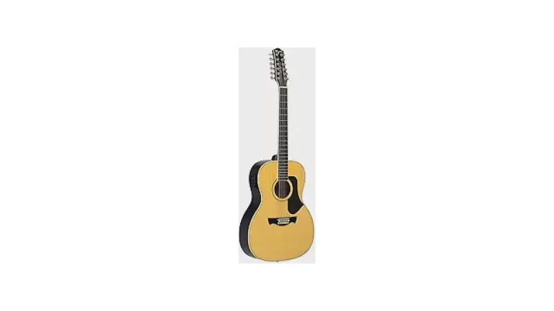 Qual o Melhor Violão de 12 Cordas? Análise de 7