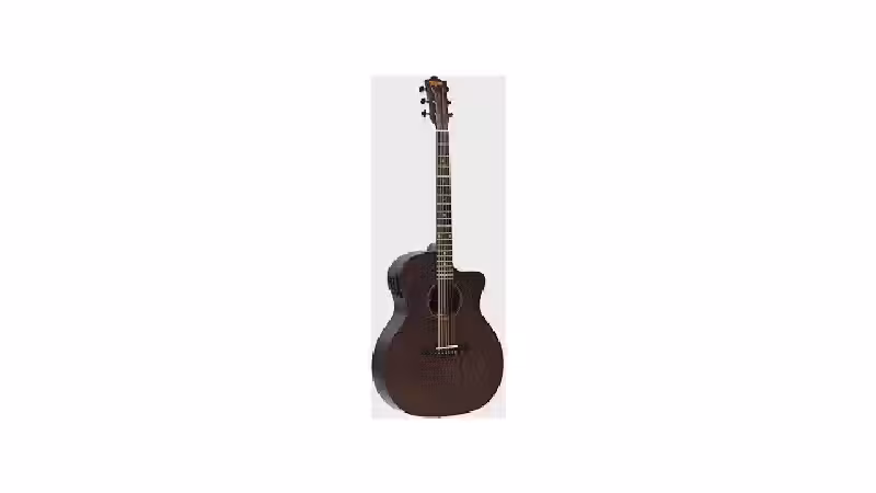 Qual o Melhor Violão Profissional para Timbres Ricos