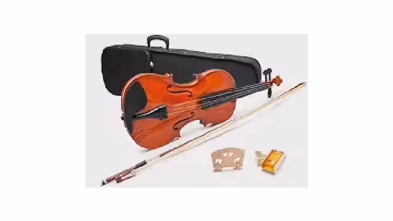 Qual o Melhor Violino Barato e Bom? Guia do Iniciante