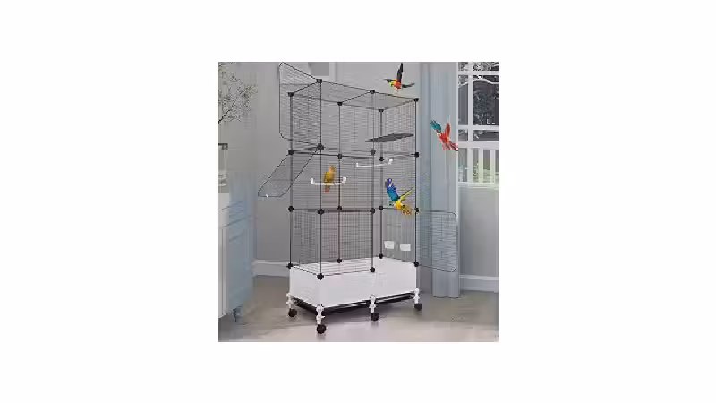 Qual o Melhor Viveiro para Calopsita: Guia Fácil