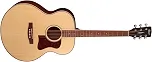 VIOLAO ELETRO-ACUSTICO MARCA CORT CJ MEDX NAT