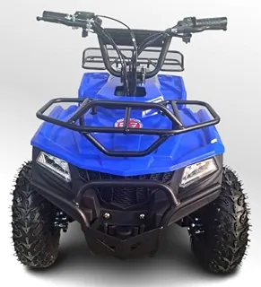 Quadriciclo Infantil 49cc Mini Touro Azul Automático Partida Elétrica Farol Gasolina com Óleo 2 Tempos BARZI MOTORS