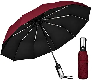Guarda-Chuva Automático 10 Varetas Reforçado Dobrável Resistente ao Vento