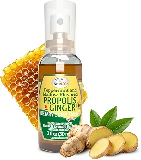 APISVIDA Spray Própolis Verde com Gengibre | 30mL | Extrato Natural de Própolis com Gengibre, Spray Oral Prático, Sem Glúten e Sem Conservantes