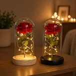 Cúpula Rosa Encantada A Bela e a Fera Luminária Grande 20cm Flor Vermelha Artificial Presente Dia dos Namorados Romantico Aniversário Natal Decoração Lembrancinha - LVLOGISTICA