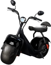 TUI MAIS - Equipamento Autopropelido Elétrico - 2 Lugares - 1000W