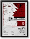 Quadro Spotify Álbum Acústico MTV Charlie Brown Jr Tam. 33x43cm